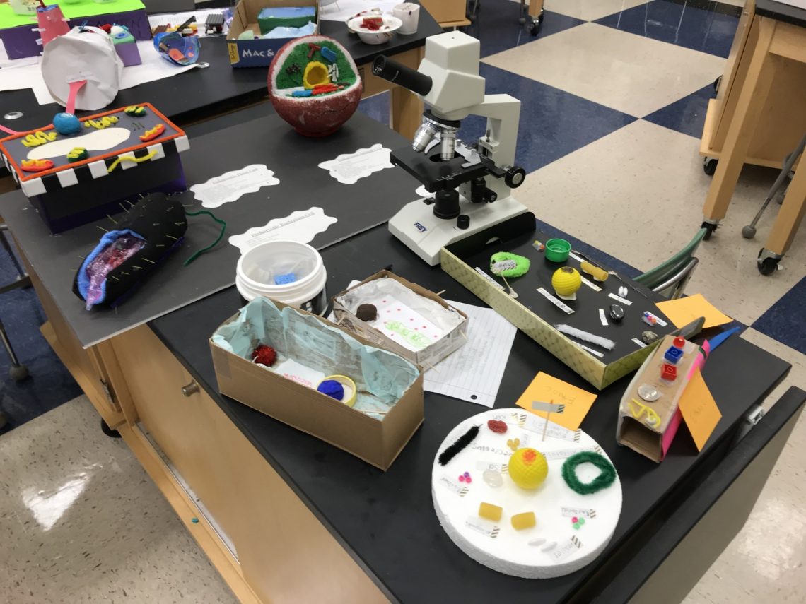 Cell Structure - 7th and 8th grade Science - St. Peter's School